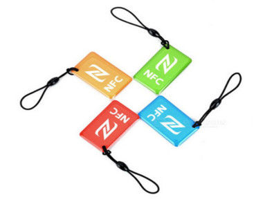 Dimensione personalizzata Etichetta adesiva epoxi NFC 213 215 Chips Key Ring per telefono