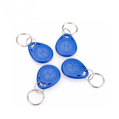 Portachiavi in plastica ABS 125KHZ RFID Con Portachiavi di sicurezza a chip T5577