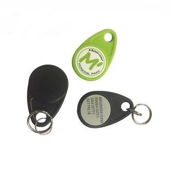 Smart ABS 13.56 Mhz RFID Key Fob Balnk o stampa laser per il controllo degli accessi