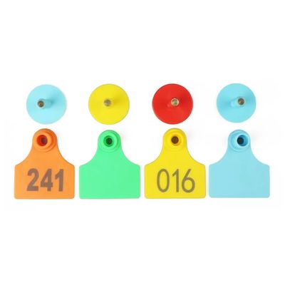 70x80mm 104x74mm UHF Animal RFID Ear Tags Materiale TPU per il monitoraggio del bestiame